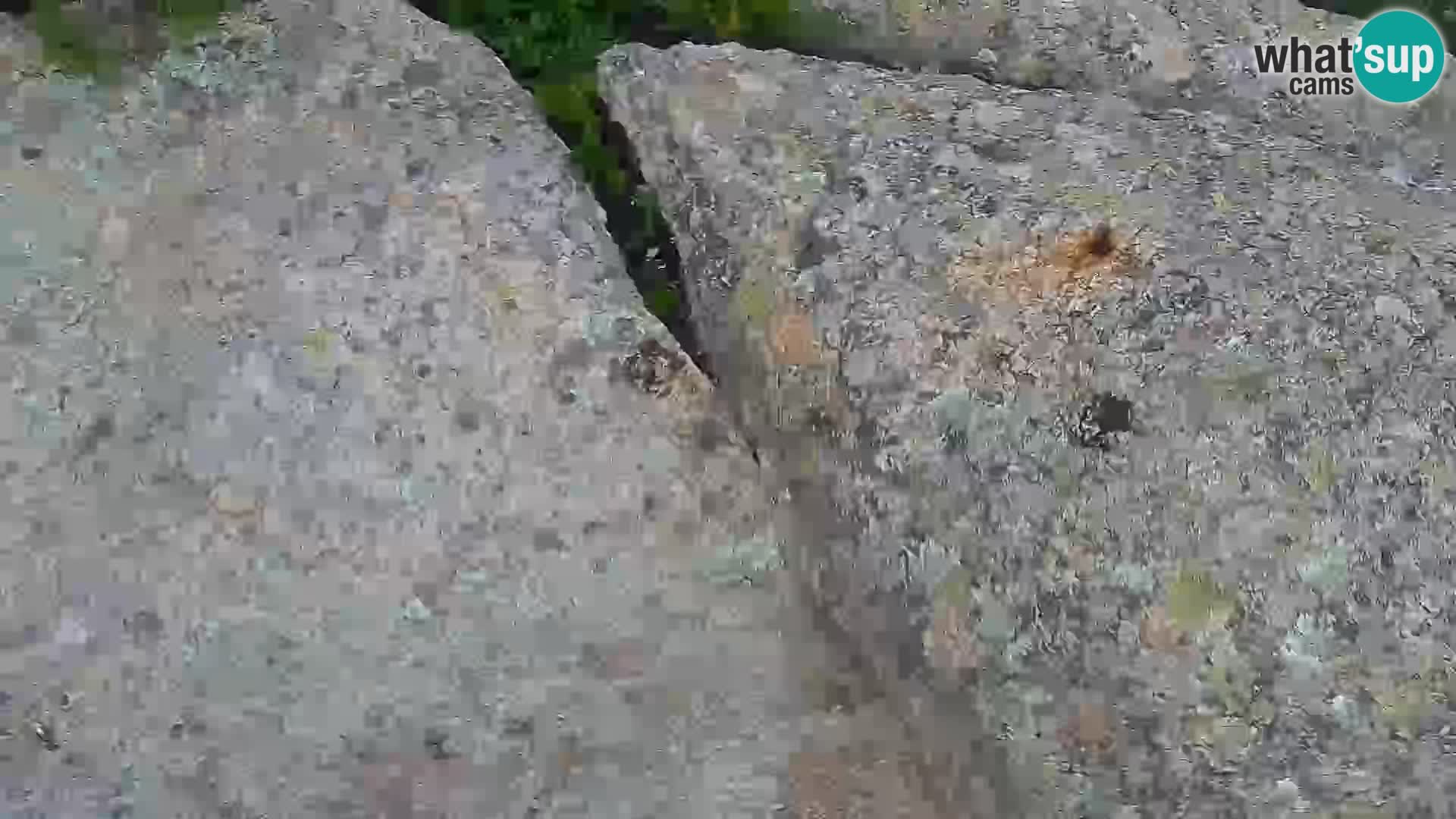 Punta Sardegna camera en vivo la Vedetta – Palau – Maddalena