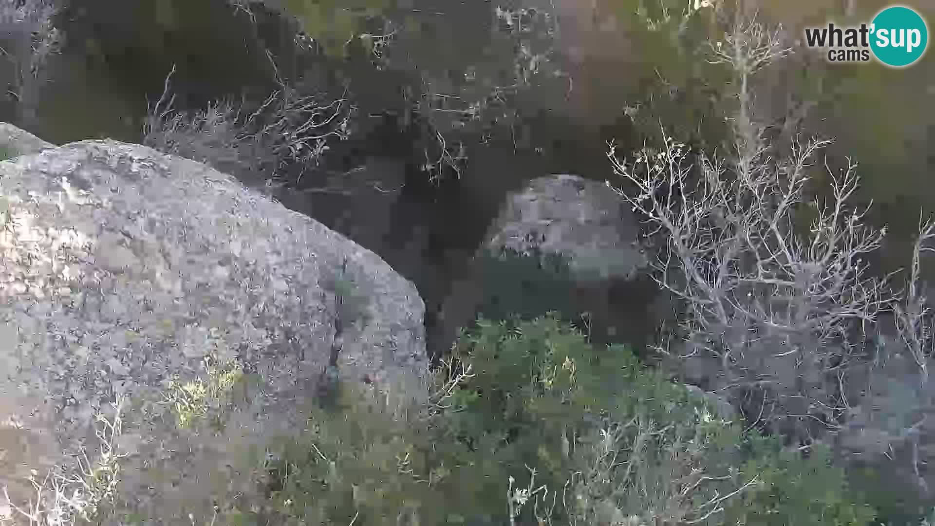 Punta Sardegna camera en vivo la Vedetta – Palau – Maddalena