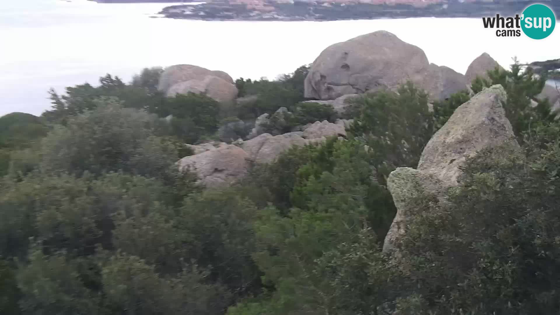 Punta Sardegna camera en vivo la Vedetta – Palau – Maddalena