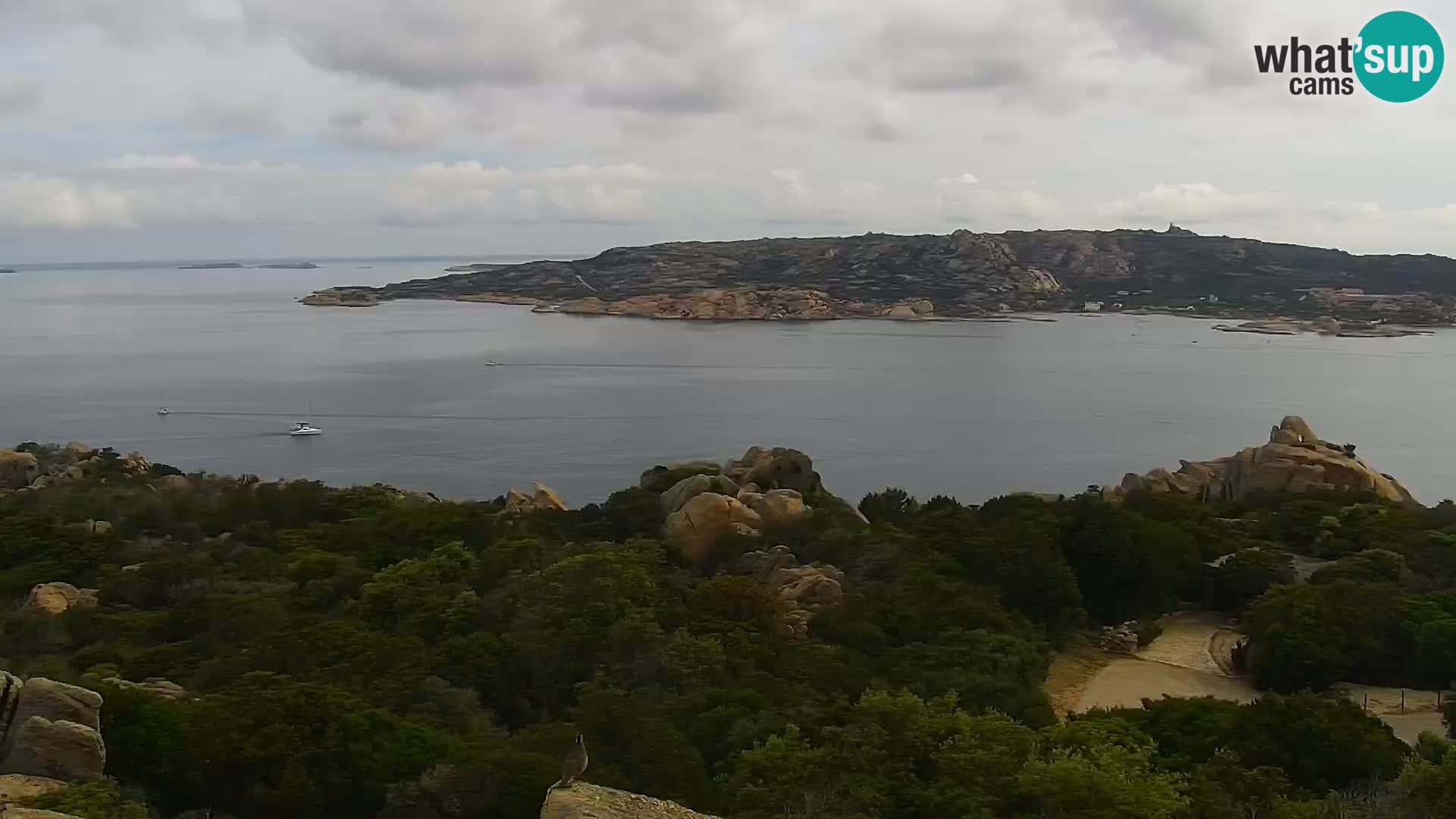 Webcam Punta Sardegna l la Vedetta – Palau – La Maddalena