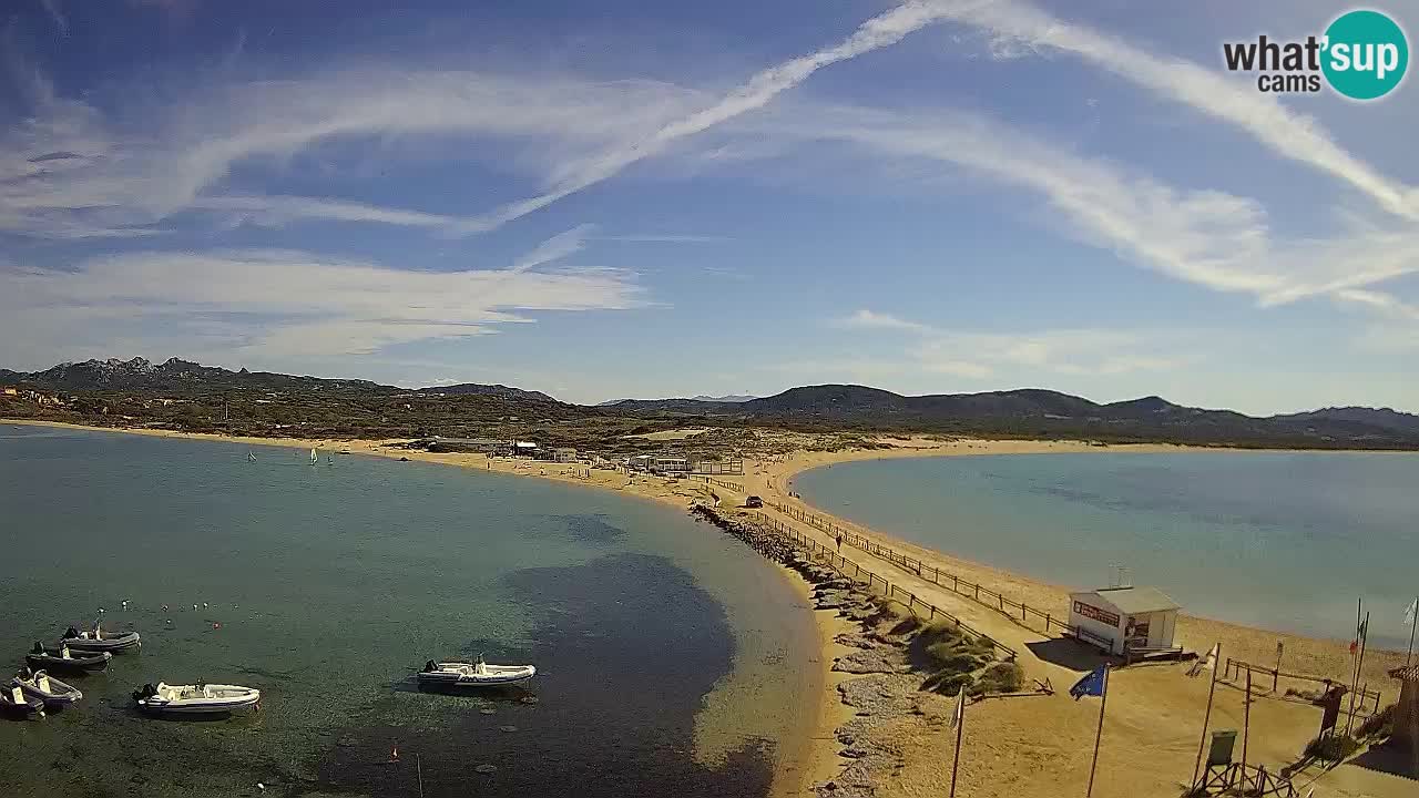 L’Isuledda webcam Isola dei Gabbiani – Porto Pollo – Palau – Cerdeña – Italia
