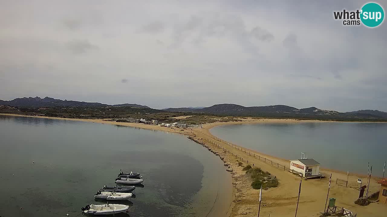 Livecam l’Isuledda – Isola dei Gabbiani – Porto Pollo – Palau – Sardaigne – Italie
