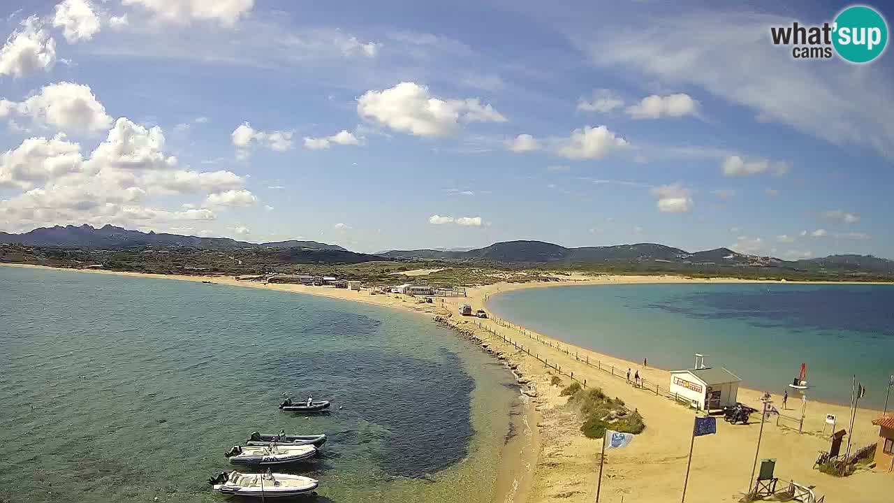 L’Isuledda live webcam Isola dei Gabbiani – Porto Pollo – Palau – Sardinien – Italien
