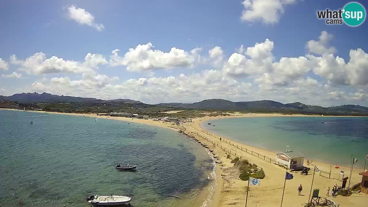 L’Isuledda webcam Isola dei Gabbiani – Porto Pollo – Palau – Sardegna