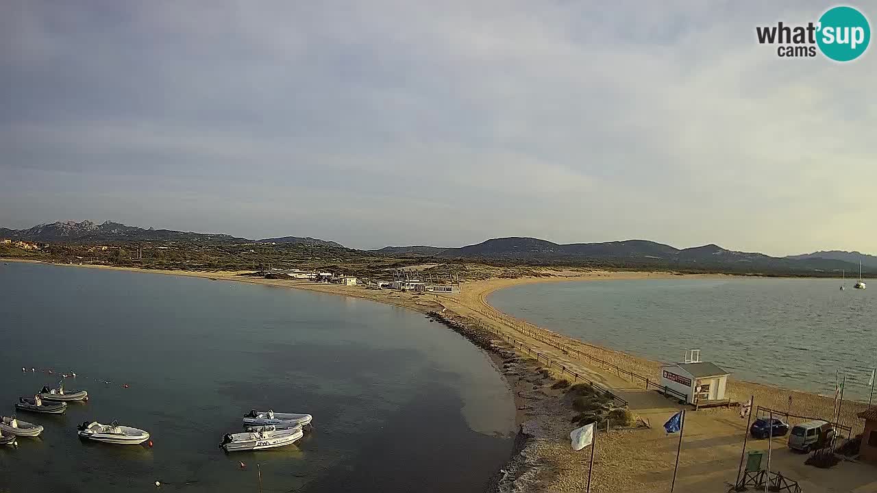 L’Isuledda webcam Isola dei Gabbiani – Porto Pollo – Palau – Cerdeña – Italia