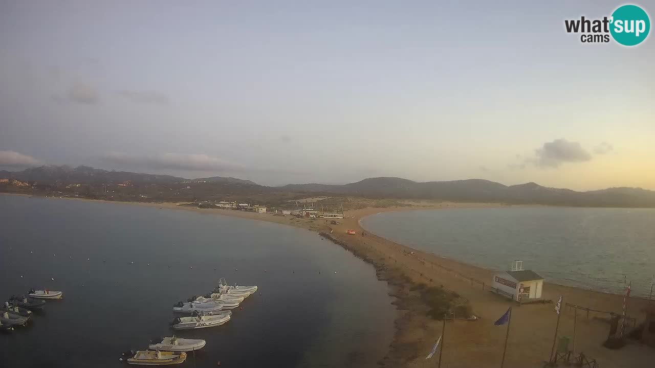 L’Isuledda webcam Isola dei Gabbiani – Porto Pollo – Palau – Sardegna