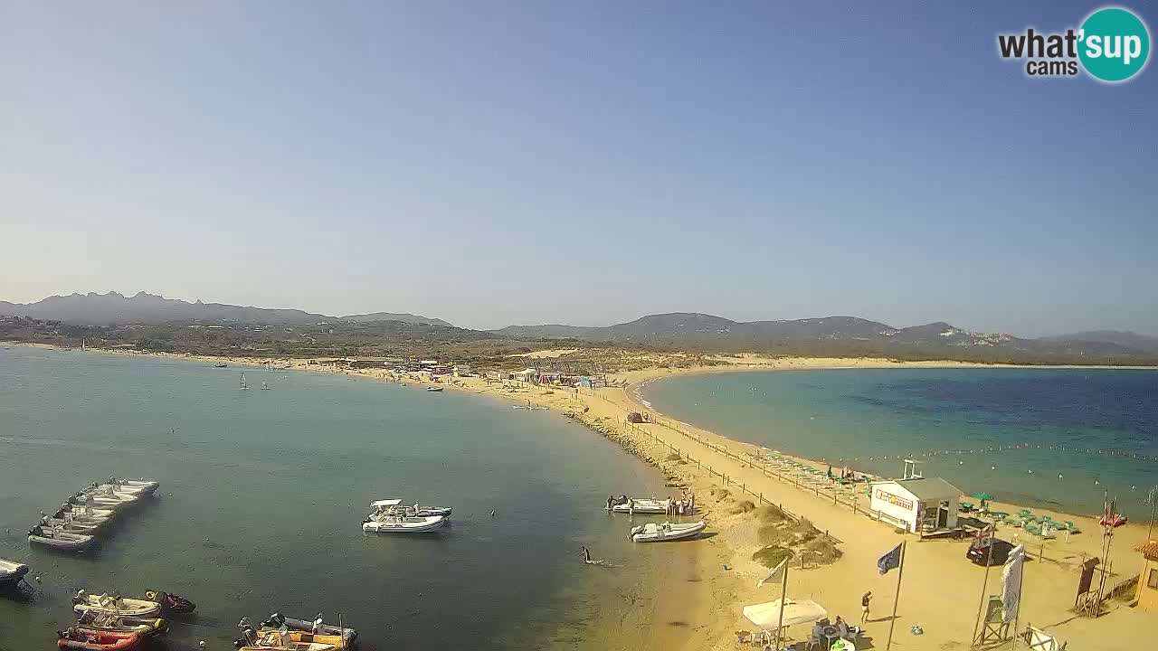 L’Isuledda webcam Isola dei Gabbiani – Porto Pollo – Palau – Cerdeña – Italia