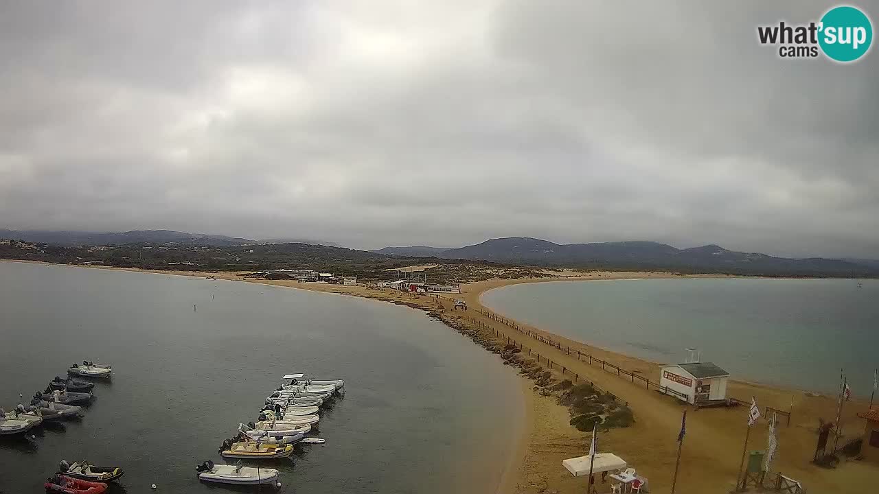 L’Isuledda webcam Isola dei Gabbiani – Porto Pollo – Palau – Cerdeña – Italia