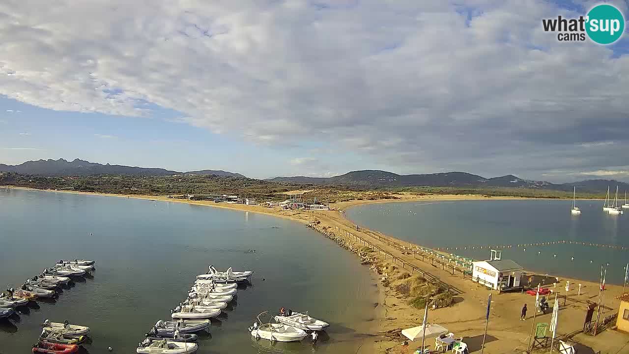 Livecam l’Isuledda – Isola dei Gabbiani – Porto Pollo – Palau – Sardaigne – Italie