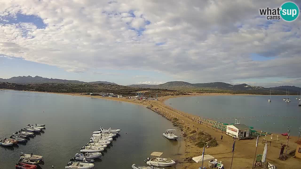 L’Isuledda webcam Isola dei Gabbiani – Porto Pollo – Palau – Cerdeña – Italia