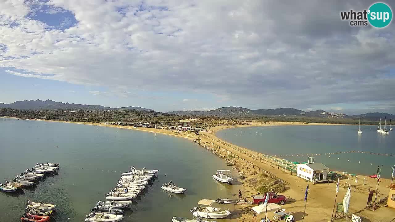 Livecam l’Isuledda – Isola dei Gabbiani – Porto Pollo – Palau – Sardaigne – Italie