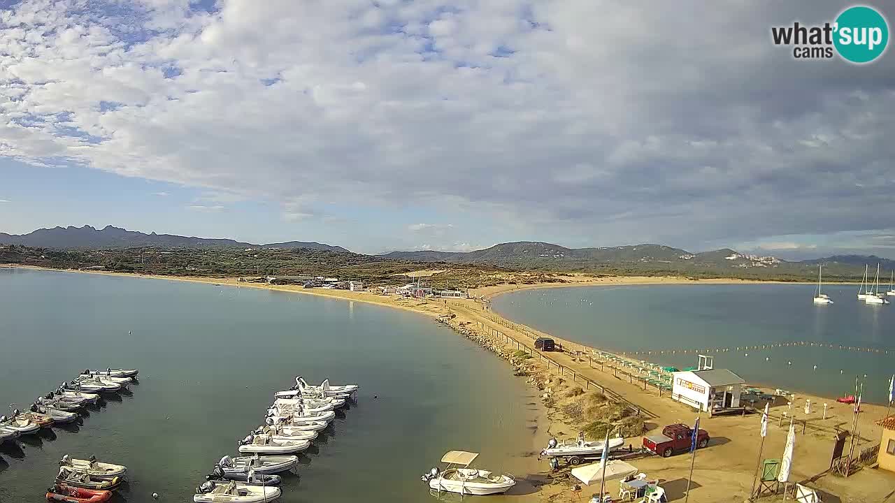 L’Isuledda webcam Isola dei Gabbiani – Porto Pollo – Palau – Sardegna