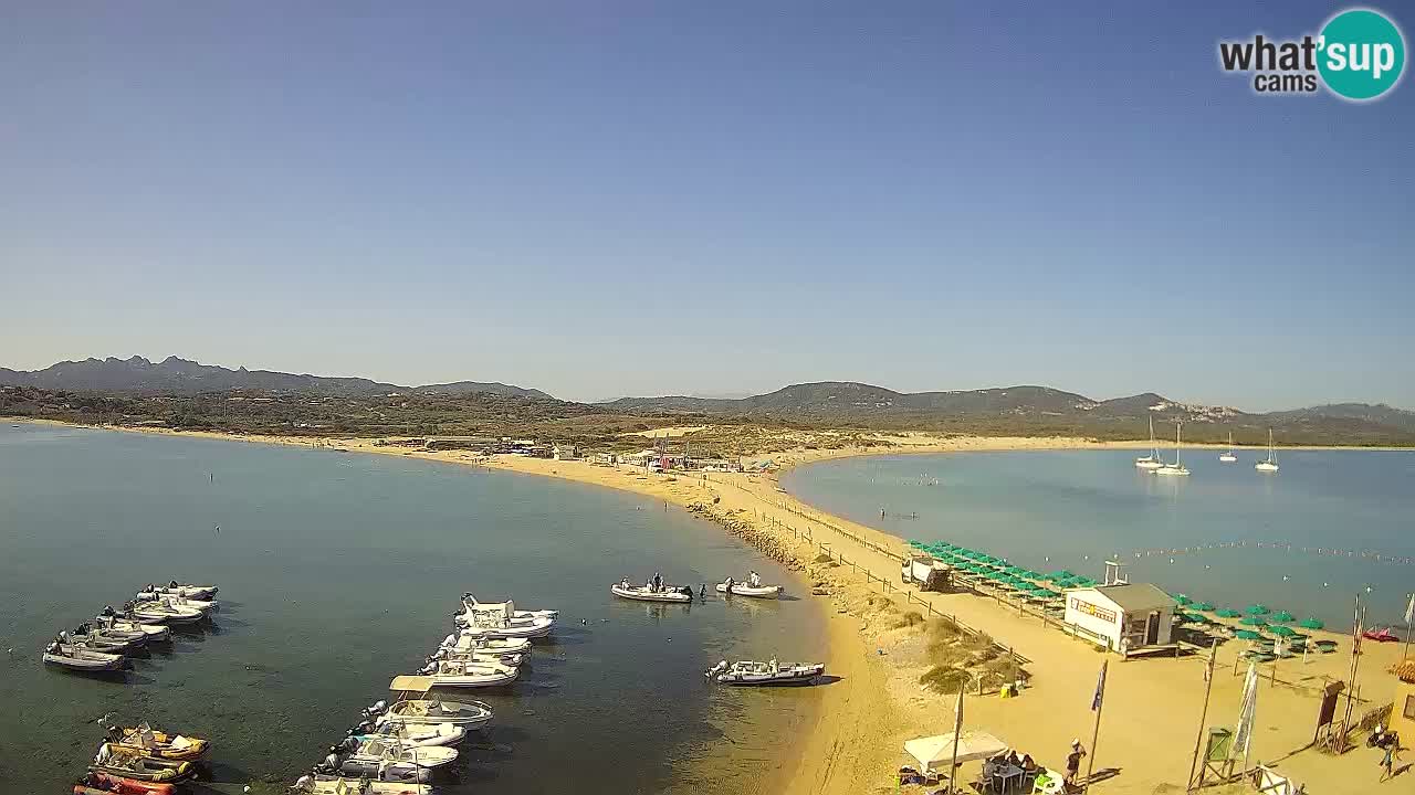 Live Webcam Isuledda – Isola dei Gabbiani – Porto Pollo – Palau – Sardinia