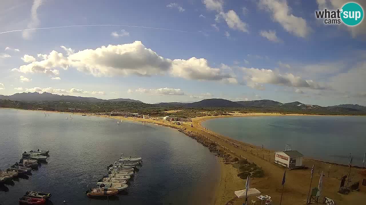 L’Isuledda webcam Isola dei Gabbiani – Porto Pollo – Palau – Sardegna