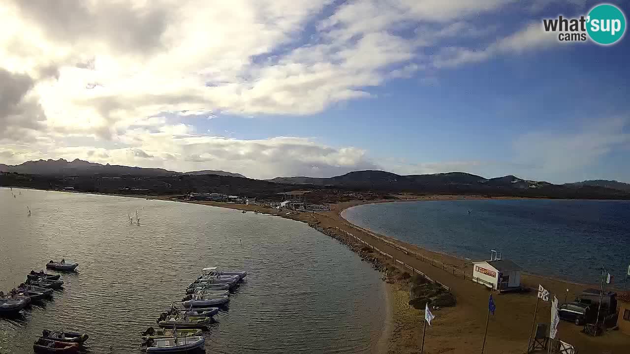 L’Isuledda webcam Isola dei Gabbiani – Porto Pollo – Palau – Sardegna