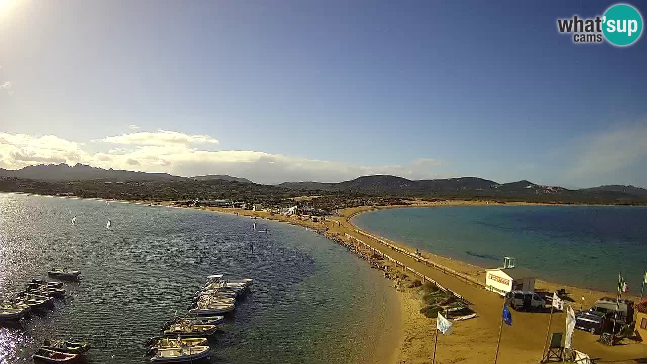 L’Isuledda webcam Isola dei Gabbiani – Porto Pollo – Palau – Sardegna