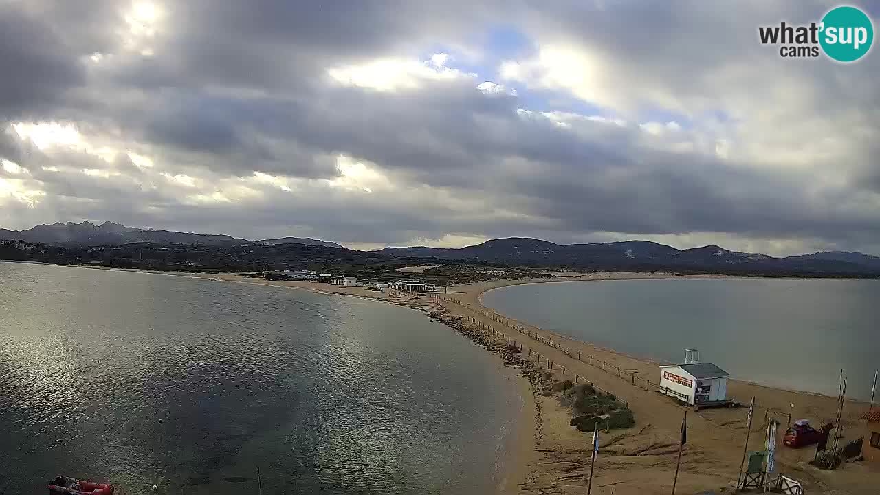 L’Isuledda webcam Isola dei Gabbiani – Porto Pollo – Palau – Sardegna