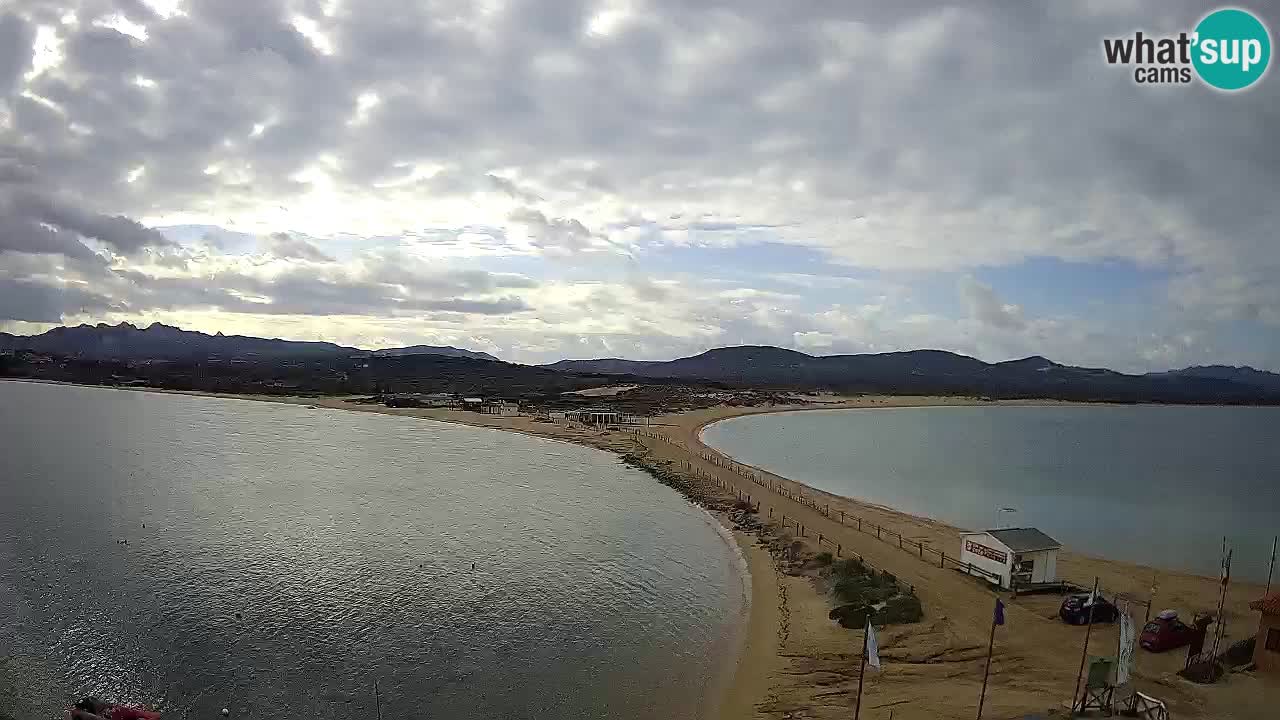 L’Isuledda webcam Isola dei Gabbiani – Porto Pollo – Palau – Cerdeña – Italia