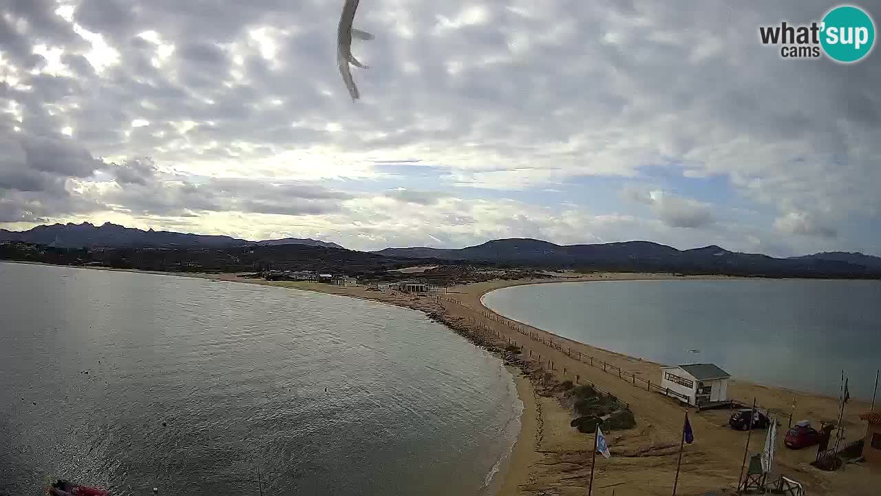 L’Isuledda webcam Isola dei Gabbiani – Porto Pollo – Palau – Sardegna