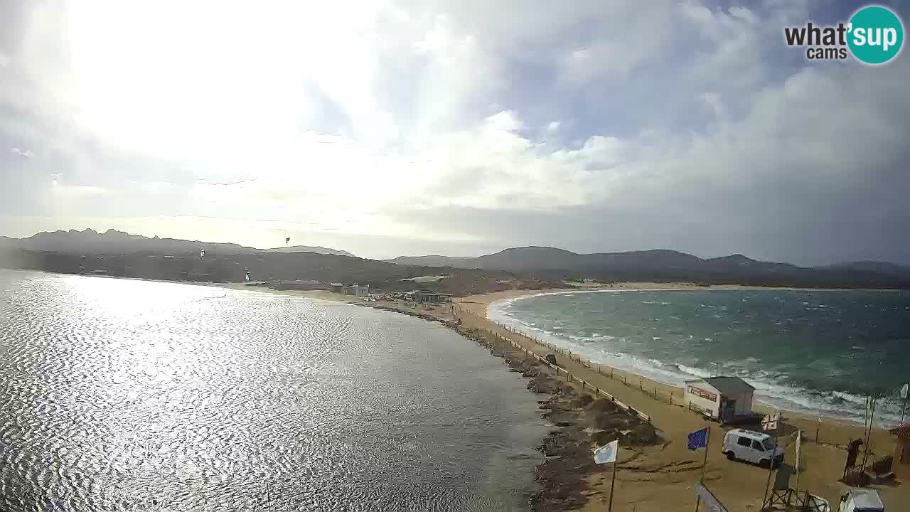 L’Isuledda webcam Isola dei Gabbiani – Porto Pollo – Palau – Sardegna