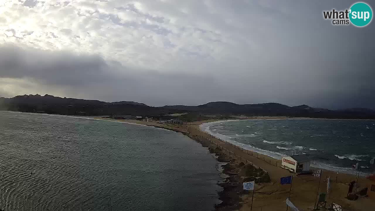 L’Isuledda webcam Isola dei Gabbiani – Porto Pollo – Palau – Cerdeña – Italia