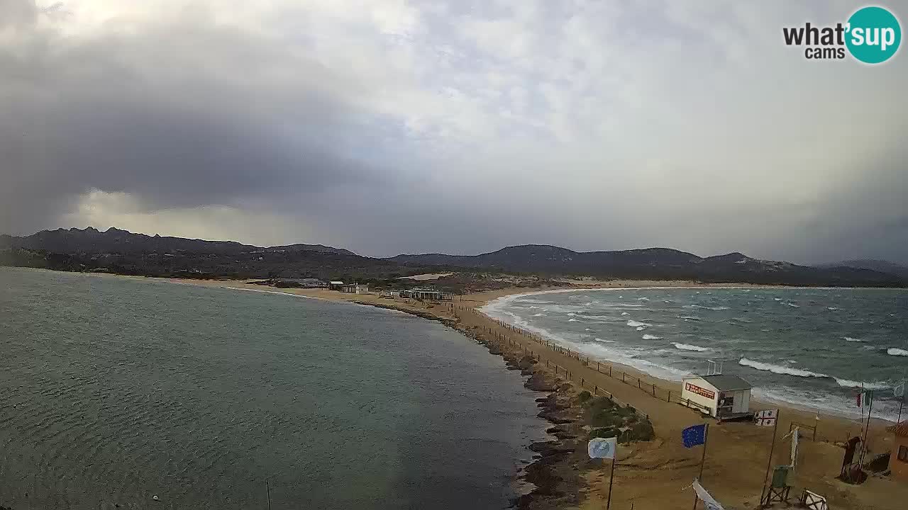 L’Isuledda webcam Isola dei Gabbiani – Porto Pollo – Palau – Cerdeña – Italia