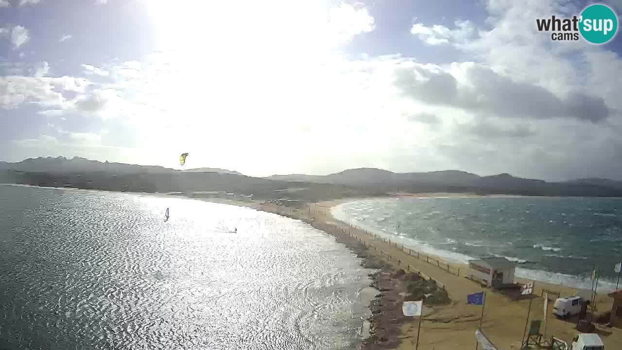 L’Isuledda webcam Isola dei Gabbiani – Porto Pollo – Palau – Cerdeña – Italia