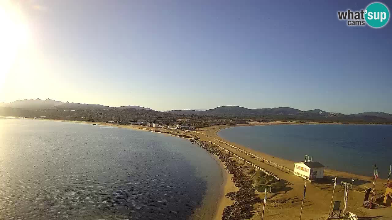 L’Isuledda webcam Isola dei Gabbiani – Porto Pollo – Palau – Cerdeña – Italia