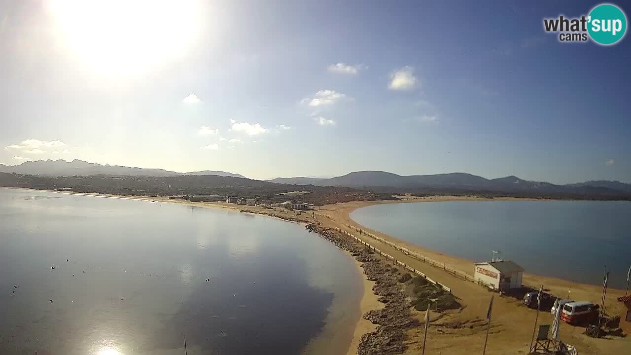 L’Isuledda webcam Isola dei Gabbiani – Porto Pollo – Palau – Cerdeña – Italia