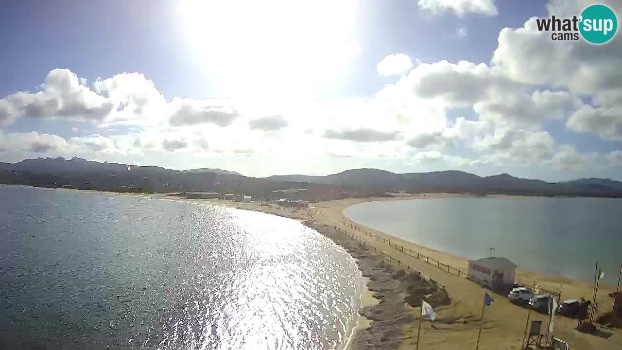 L’Isuledda webcam Isola dei Gabbiani – Porto Pollo – Palau – Cerdeña – Italia