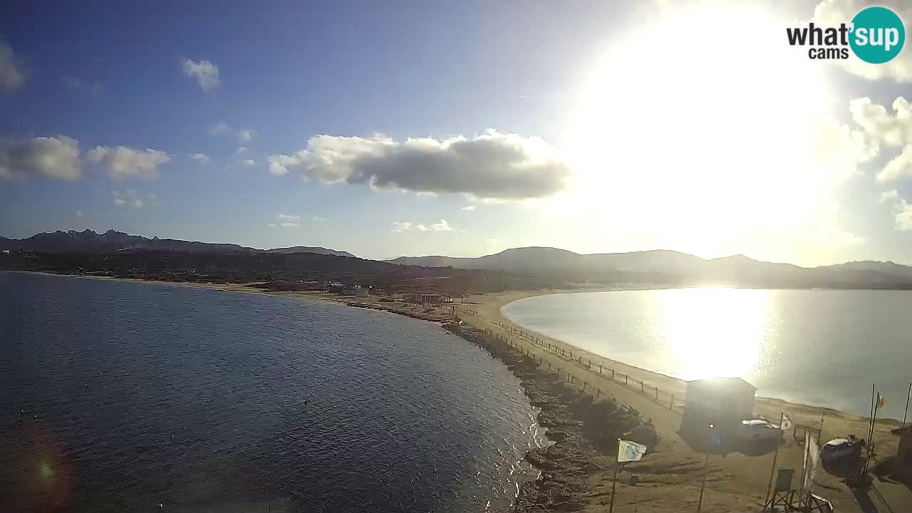 L’Isuledda webcam Isola dei Gabbiani – Porto Pollo – Palau – Sardegna