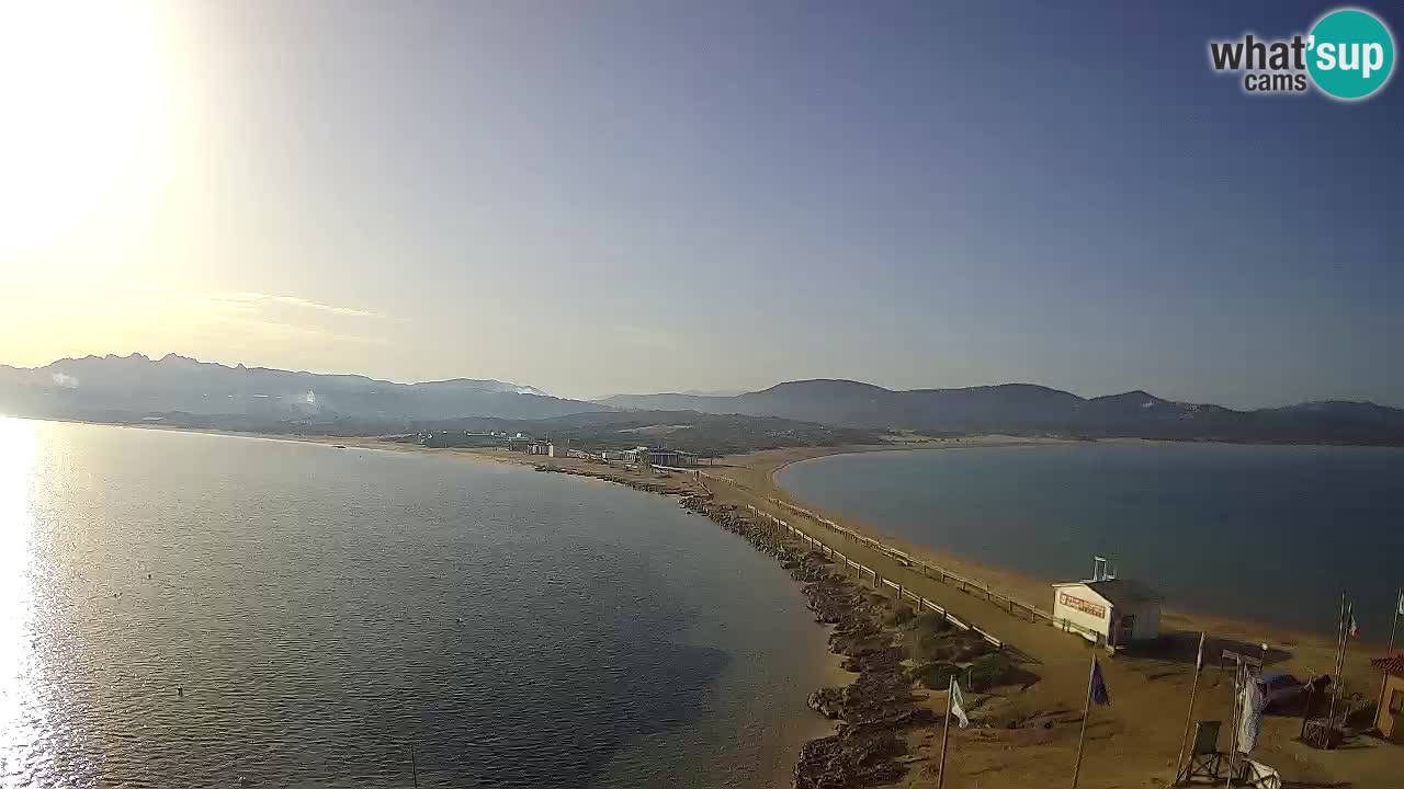 L’Isuledda webcam Isola dei Gabbiani – Porto Pollo – Palau – Cerdeña – Italia