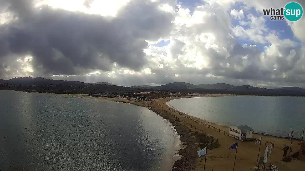 L’Isuledda webcam Isola dei Gabbiani – Porto Pollo – Palau – Cerdeña – Italia