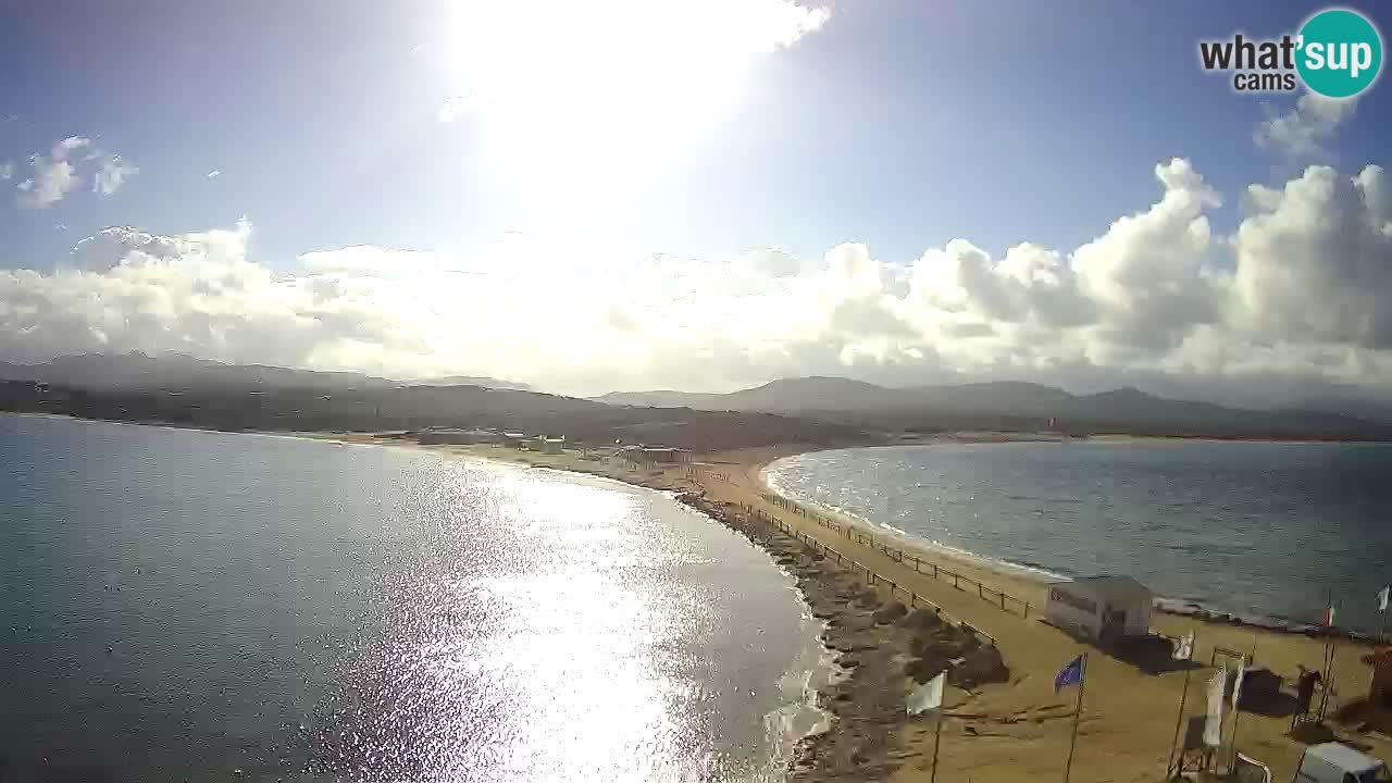 L’Isuledda webcam Isola dei Gabbiani – Porto Pollo – Palau – Sardegna