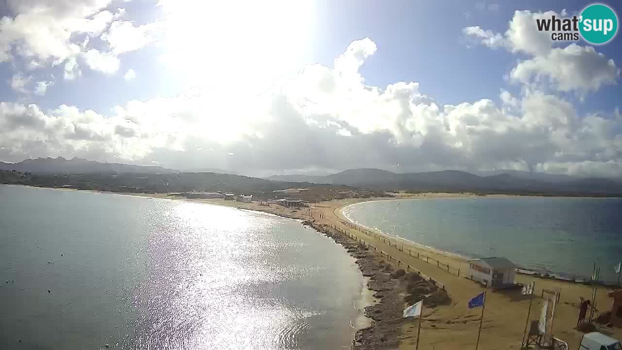 L’Isuledda webcam Isola dei Gabbiani – Porto Pollo – Palau – Cerdeña – Italia