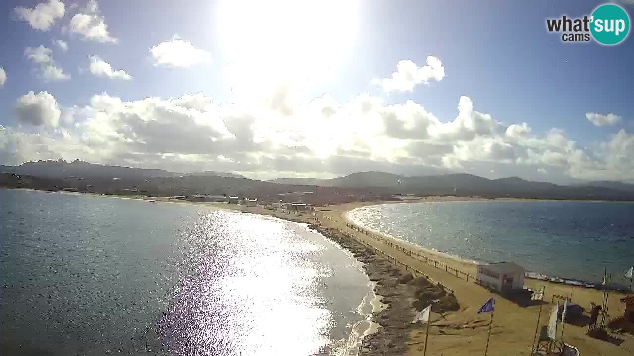 L’Isuledda webcam Isola dei Gabbiani – Porto Pollo – Palau – Sardegna