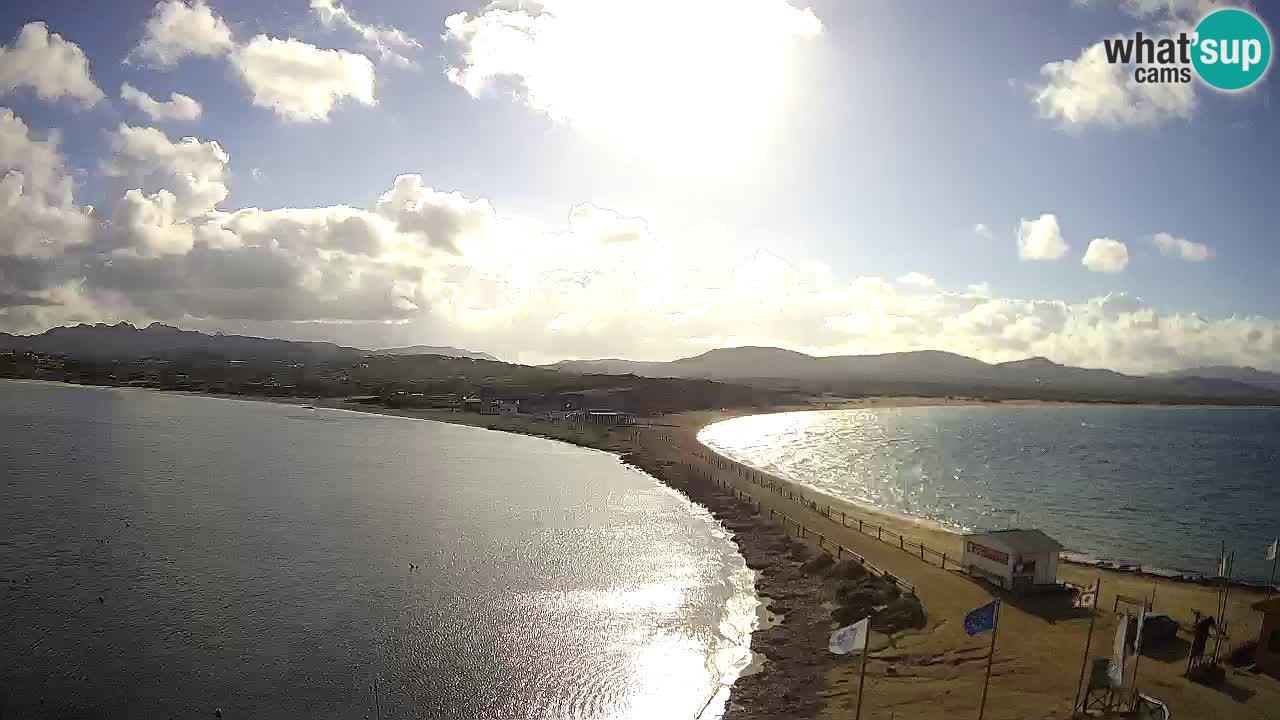 L’Isuledda webcam Isola dei Gabbiani – Porto Pollo – Palau – Cerdeña – Italia