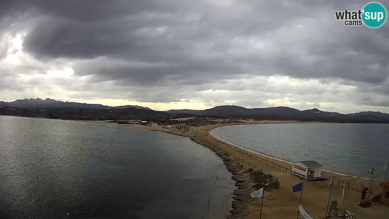 L’Isuledda webcam Isola dei Gabbiani – Porto Pollo – Palau – Sardegna