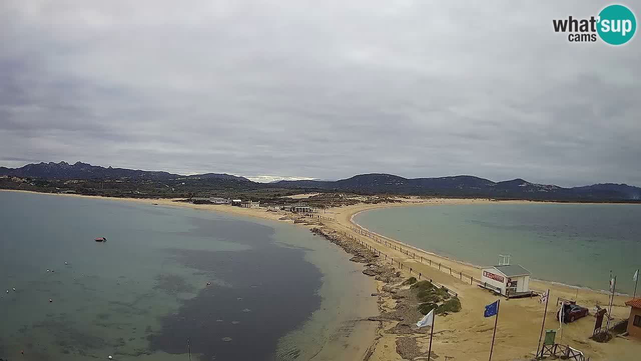 L’Isuledda webcam Isola dei Gabbiani – Porto Pollo – Palau – Sardegna