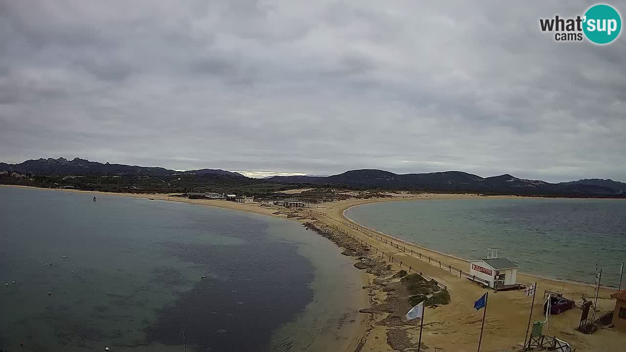 L’Isuledda webcam Isola dei Gabbiani – Porto Pollo – Palau – Sardegna