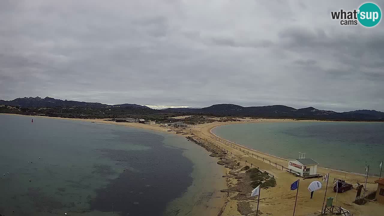 L’Isuledda webcam Isola dei Gabbiani – Porto Pollo – Palau – Sardegna