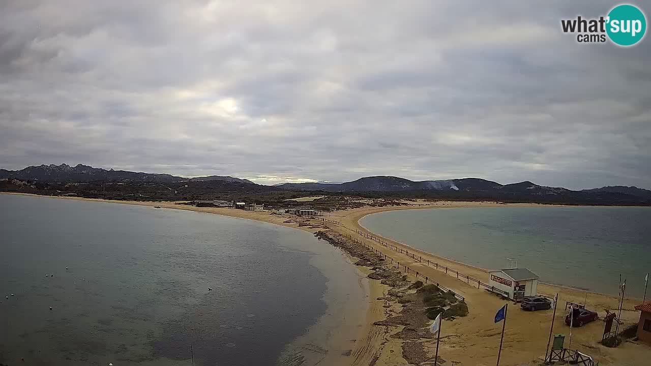 L’Isuledda webcam Isola dei Gabbiani – Porto Pollo – Palau – Sardegna