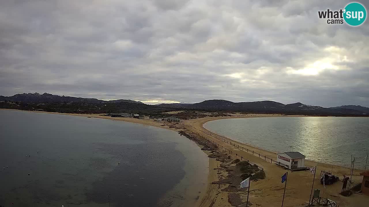 L’Isuledda webcam Isola dei Gabbiani – Porto Pollo – Palau – Sardegna