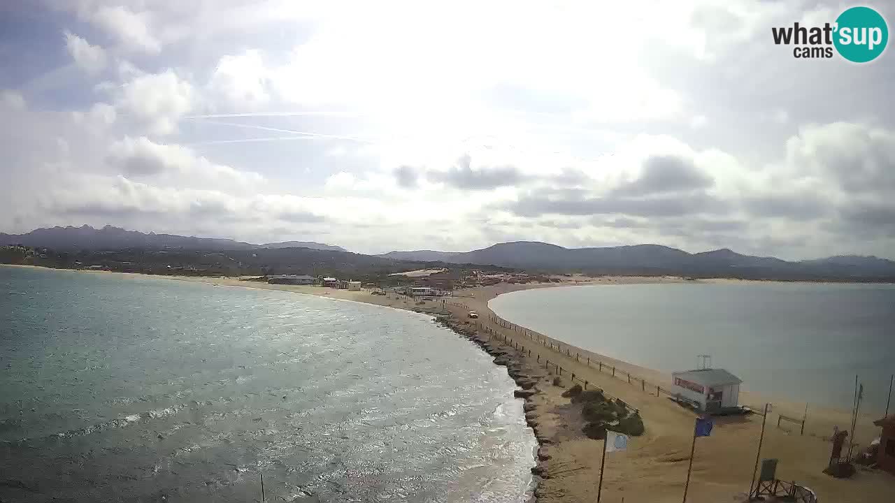 L’Isuledda webcam Isola dei Gabbiani – Porto Pollo – Palau – Sardegna