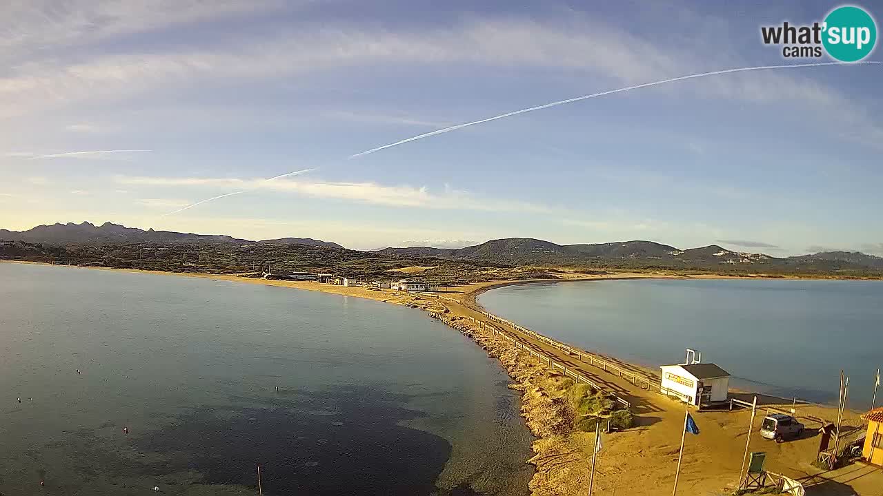 L’Isuledda webcam Isola dei Gabbiani – Porto Pollo – Palau – Sardegna