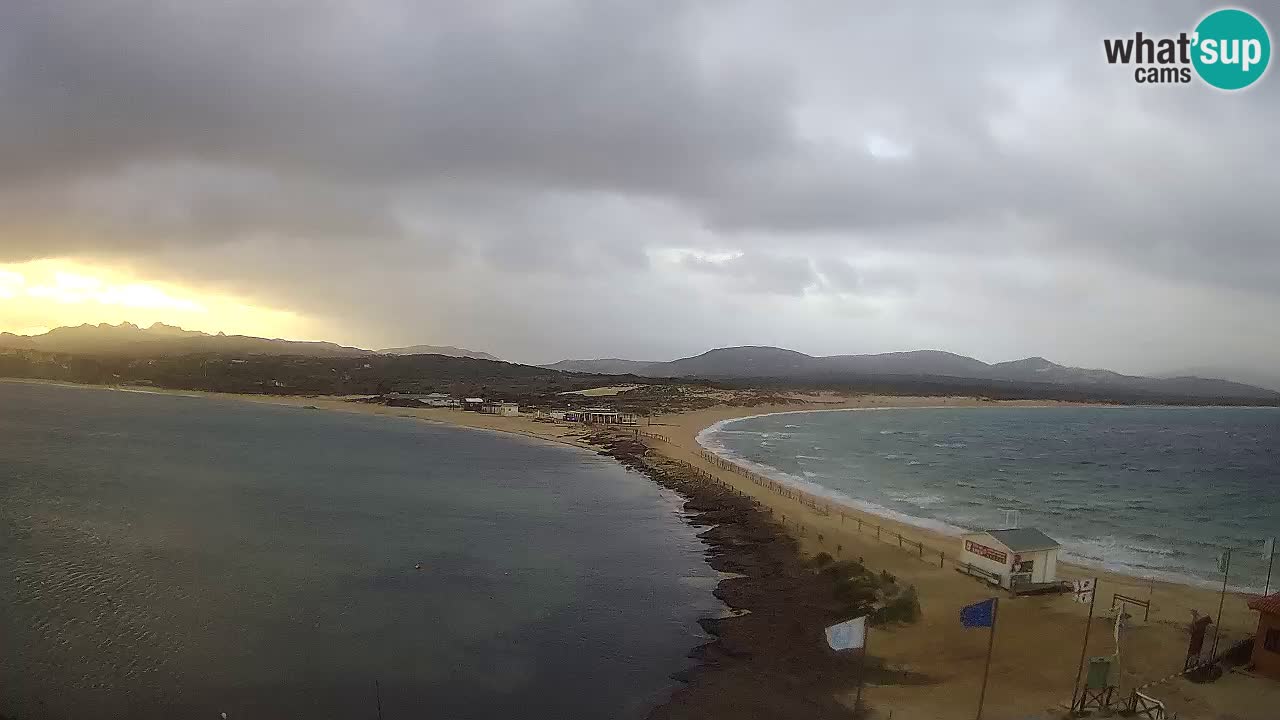 L’Isuledda webcam Isola dei Gabbiani – Porto Pollo – Palau – Cerdeña – Italia