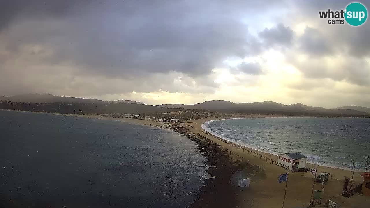 L’Isuledda webcam Isola dei Gabbiani – Porto Pollo – Palau – Cerdeña – Italia