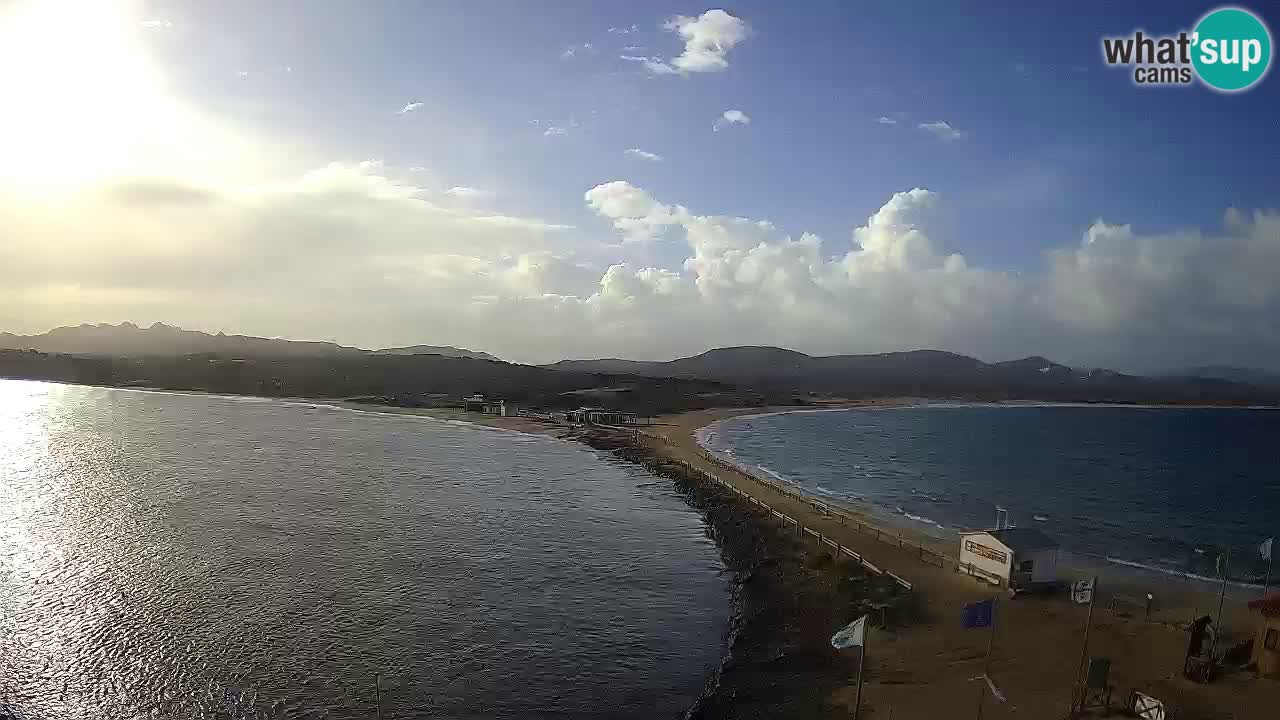 Livecam l’Isuledda – Isola dei Gabbiani – Porto Pollo – Palau – Sardaigne – Italie