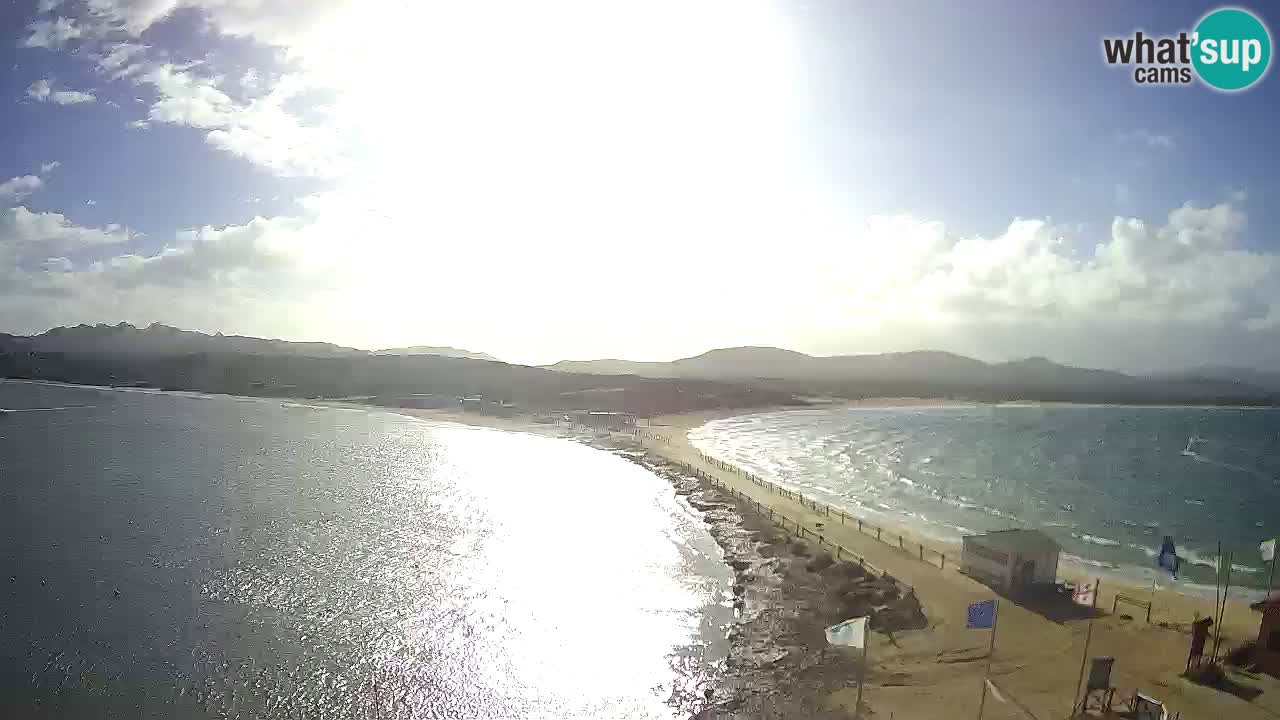 Livecam l’Isuledda – Isola dei Gabbiani – Porto Pollo – Palau – Sardaigne – Italie