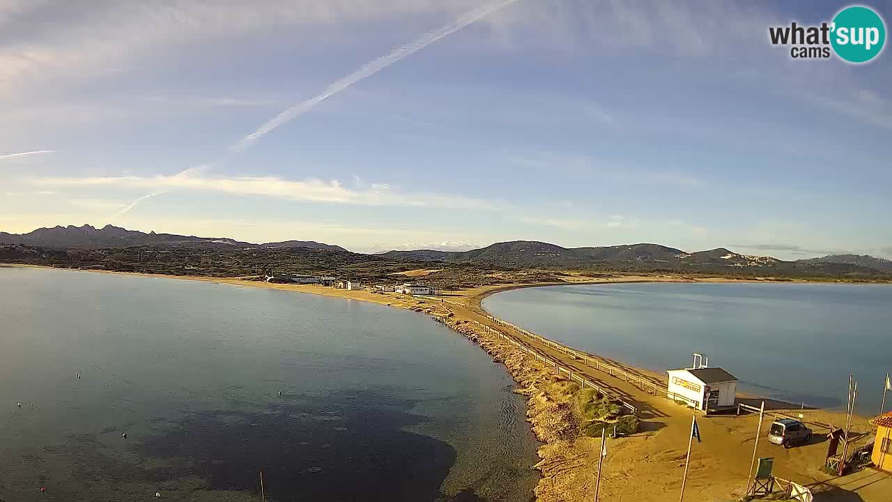 Live Webcam Isuledda – Isola dei Gabbiani – Porto Pollo – Palau – Sardinia